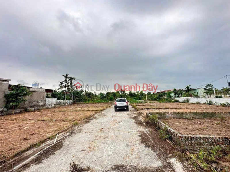 Property Search Vietnam | OneDay | Residential | Sales Listings | Land with cars available - Tan Phong Center, Kien Thuy Price is only slightly over 6xx million ZALO 0567 222 555