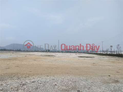 Selling 1.7ha of land for warehouse and factory for 50 years at the road surface, Hoanh Bo District, Quang Ninh Province _0