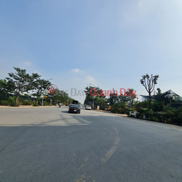 Land for resettlement in Trau Quy - Gia Lam - Hanoi. 123m2, 12m wide road, sidewalk. Contact 0989894845 | Vietnam | Sales đ 17.0 Billion