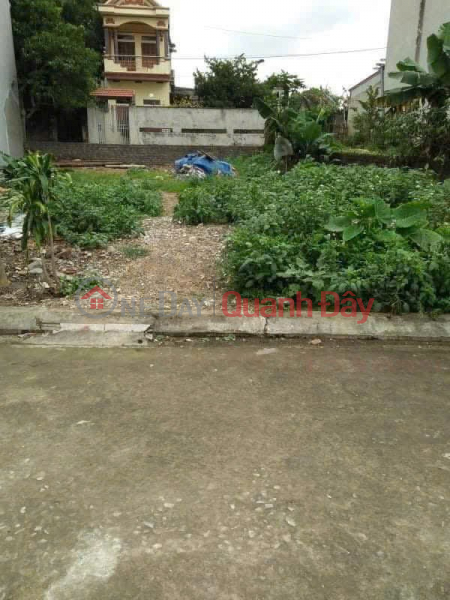 Property Search Vietnam | OneDay | Residential | Sales Listings | PRIME LAND – INVESTMENT PRICE – OWNER NEEDS TO SELL A PLOT OF LAND at GROUP 1, TAY SON, TAM DIEP, NINH BINH