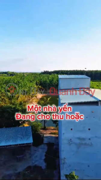 Property Search Vietnam | OneDay | Nhà ở, Niêm yết bán ĐẦU TƯ LÀ SINH LỜI - CHÍNH CHỦ CẦN BÁN ĐẤT VIEW NHÀ YẾN – Xã Trà Tân, Bình Thuận