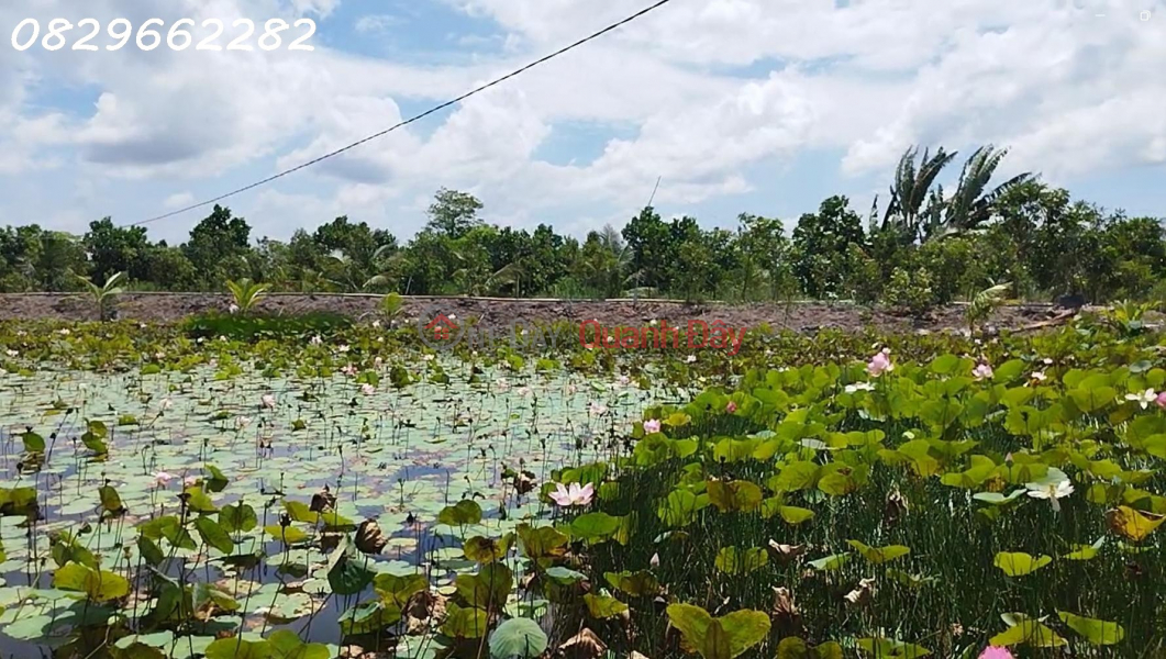 , Làm ơn chọn Nhà ở, Niêm yết bán đ 22 tỷ