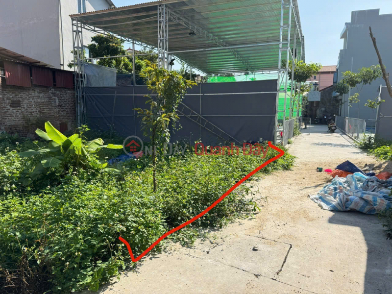 48m² of land for sale in Giai Lac village, Quang Minh commune, Hanoi. Excellent location, near the market and industrial zone. Sales Listings