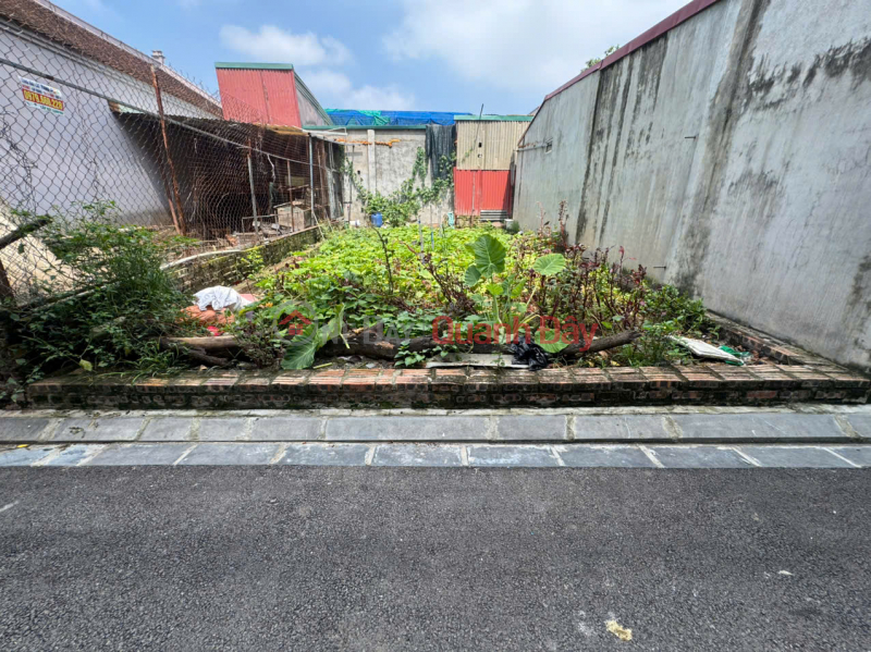 Đất đẹp thôn Cổ Điển, Hải Bối, Đông Anh. Đường thông, trải nhựa, oto đỗ, Việt Nam | Bán | đ 5,65 tỷ