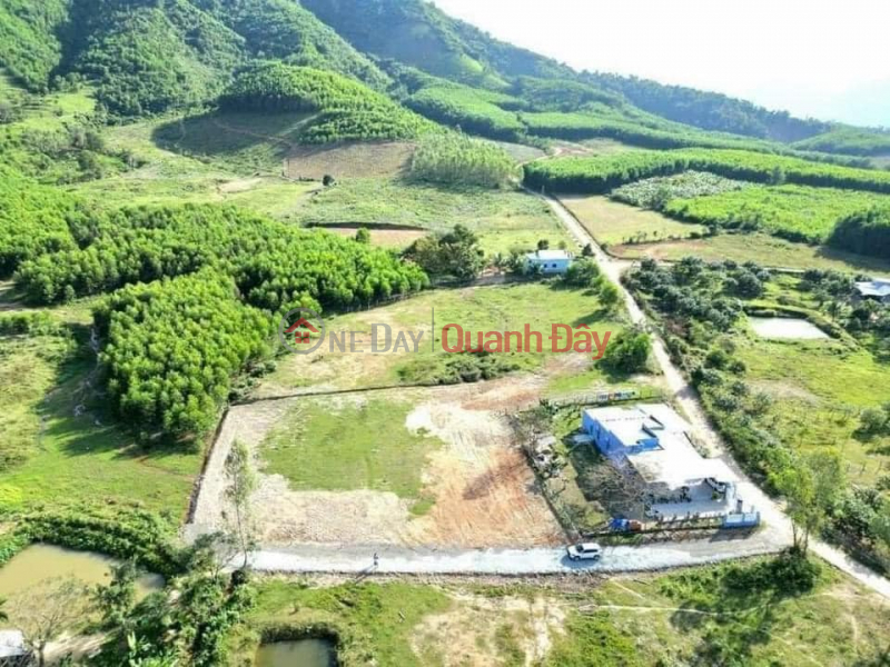 OWNER IS STRUGGLE TO SELL FULL CHEAP RESIDENTIAL LOT OF LAND IN KHANH PHU, KHANH VINH - ONLY 420 MILLION, ONE LOT LEFT Sales Listings