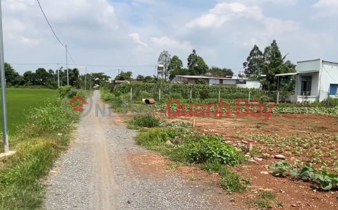 OWN A SUPER RARE LOT OF LAND - SUPER INVESTMENT PRICE In Xuan Phu Commune - Xuan Loc District - Dong Nai Province _0