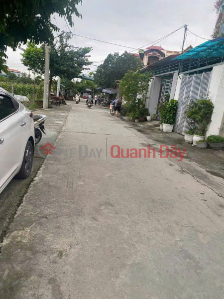 Land for sale in group 5, (Gia Thuong village, Quang Minh, Hanoi. Central location, adjacent to industrial park) | Vietnam Sales, đ 3.75 Billion