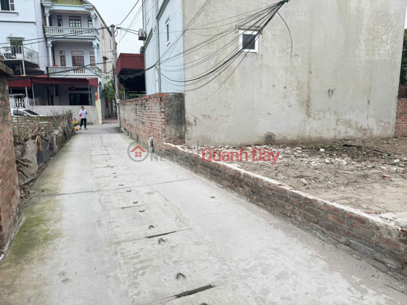 Land for sale in Do Thuong - Tien Phong - Me Linh - 5.8m wide frontage - car access available., Vietnam Sales, đ 3.9 Billion