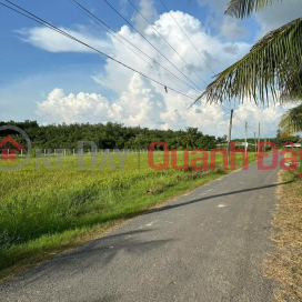 Owner needs to sell 4,000m2 of rice land in Tri Binh, Chau Thanh, Tay Ninh _0