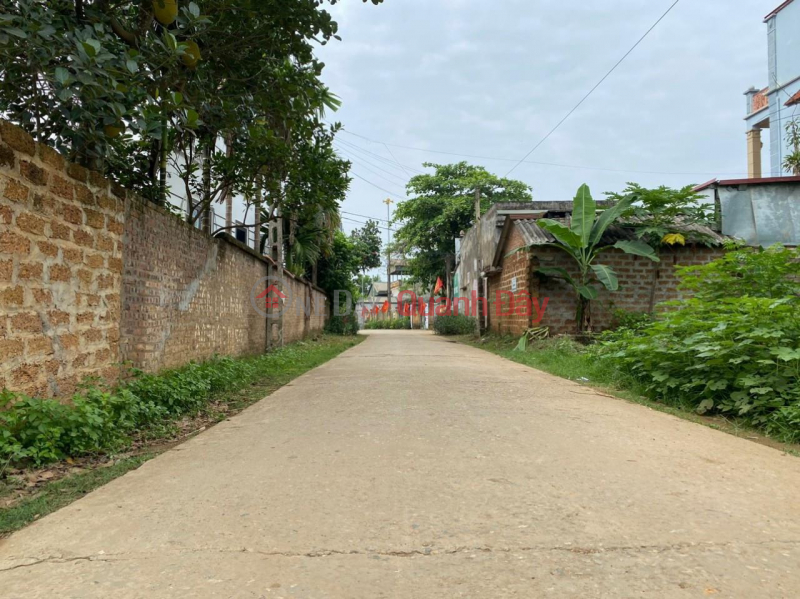 Property Search Vietnam | OneDay | Residential | Sales Listings | BEAUTIFUL LAND - GOOD PRICE - For Quick Sale Land Lot Prime Location In Binh Yen Commune, Thach That, Hanoi