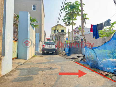 Urgent sale of land lot 6, Quang Minh town, Me Linh. Good location, potential for price increase _0