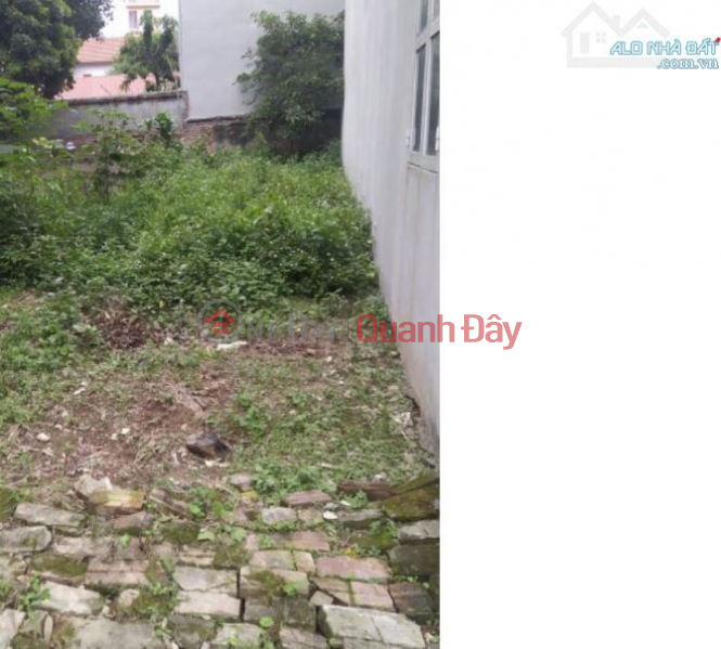 Property Search Vietnam | OneDay | Nhà ở Niêm yết bán Bán mảnh đất siêu đẹp tại Tự Khoát, Thanh Trì 2.x tỷ đáng đầu tư.