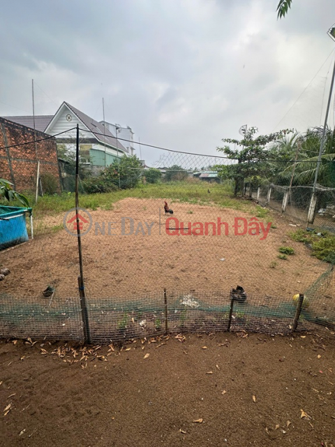 CHÍNH CHỦ Cần Bán Đất Mặt Tiền Tại Ấp Tân thạnh, Xã Tân Hương, Huyện Châu Thành, Tiền Giang. _0