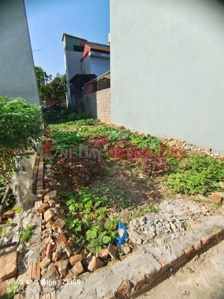 Property Search Vietnam | OneDay | Nhà ở Niêm yết bán Bán 68m đất thôn Gia Trung (Tổ 7),Quang Minh. Nằm sát đường Võ Văn Kiệt, KCN Quang Minh