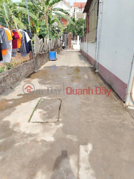 Property Search Vietnam | OneDay | Nhà ở, Niêm yết bán Bán đất Tráng Việt - Mê Linh - HN. Full thổ cư, oto đỗ. Gần cầu Thượng Cát. Cơ hội đầu tư đẹp