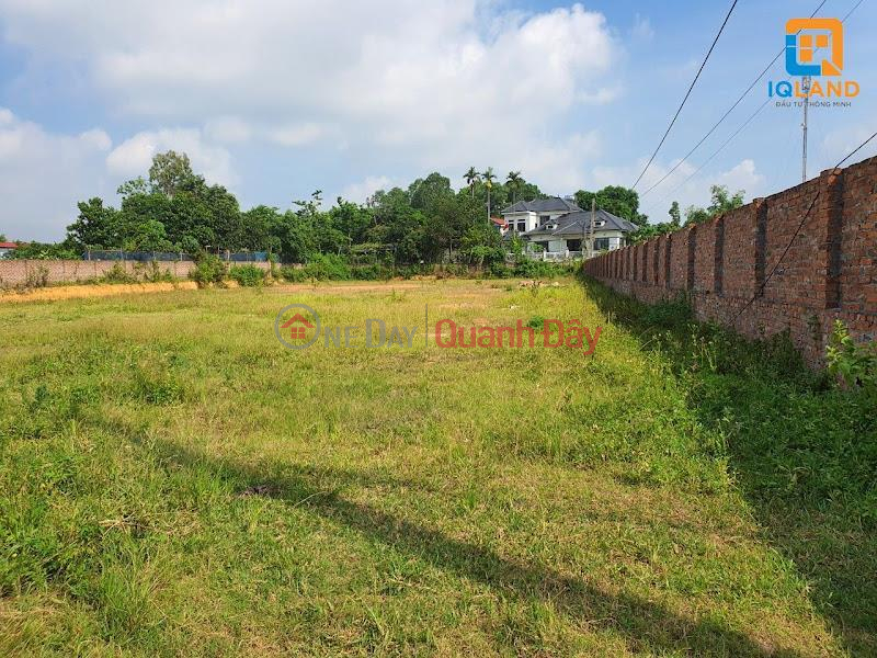 Property Search Vietnam | OneDay | Residential, Sales Listings, Just Over 400 Million Own Now Xuan Dong Land Lot Tan Minh Soc Son 6m Street Super Nice Price For Investors