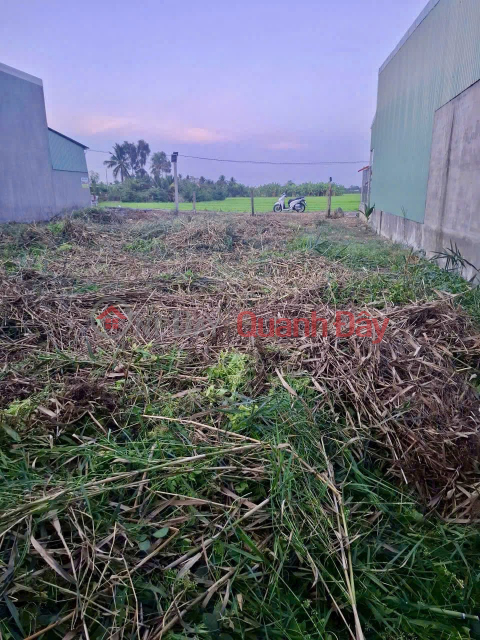 ĐẤT ĐẸP – GIÁ TỐT – CHÍNH CHỦ CẦN BÁN Xã Mỹ Phú, Thủ Thừa, Long An _0