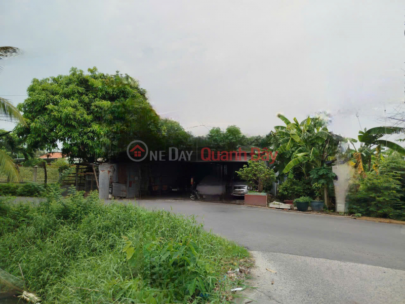 Property Search Vietnam | OneDay | Nhà ở Niêm yết bán | Bán đất 2 mặt tiền 1000m2 Đinh Văn Ước xã Hưng Long Bình Chánh 7,5 tỷ