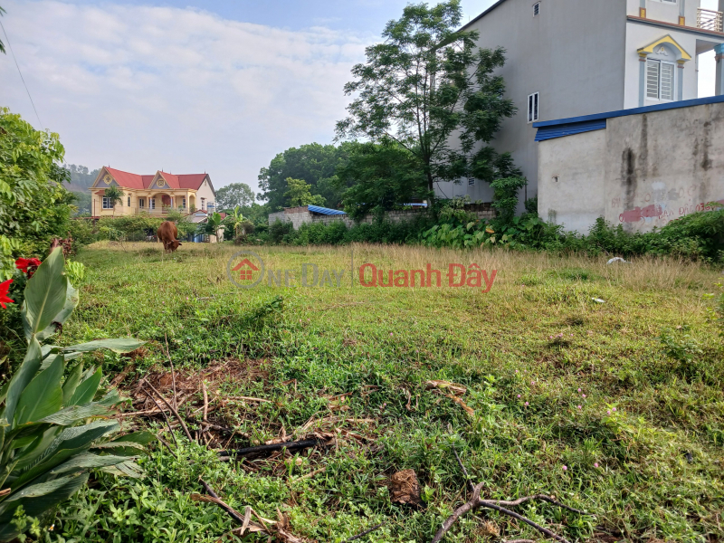 Cut loss for sale, 760 m2 plot of land with 200 TC located on 261 asphalt road, 15m frontage, right opposite DANKO Universal Yen Vietnam Sales đ 5.5 Billion