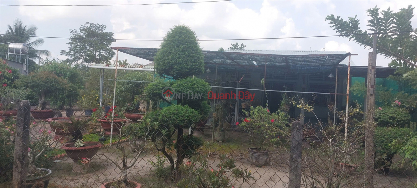 Property Search Vietnam | OneDay | Nhà ở Niêm yết bán, ĐẤT ĐẸP - GIÁ TỐT - CHính chủ bán lô đất Đẹp Tại Xã Phước Minh, Huyện Dương Minh Châu, Tỉnh Tây Ninh.