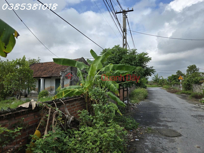 Property Search Vietnam | OneDay | Nhà ở, Niêm yết bán, Siêu phẩm - Bán đất 2 mặt tiền phường Hưng Đạo, HP, DT 736m2, giá đầu tư