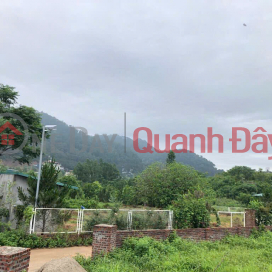 RARE! OWN A BEAUTIFUL LOT OF LAND - GOOD PRICE at Minh Phu Forest Farm, Soc Son, Hanoi _0