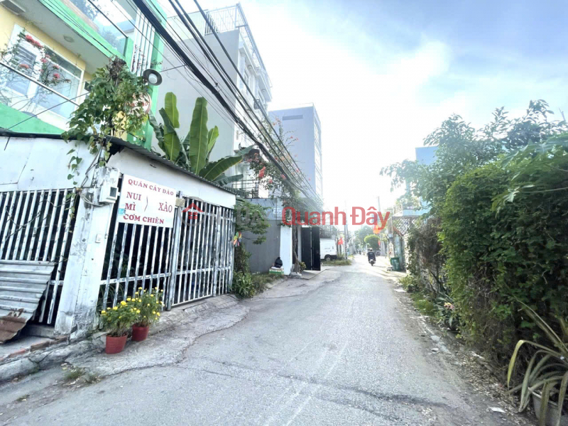 SOS 9m wide, urgent sale, corner lot with 2 street fronts, land area 119m2 (9 x 15) only 4 billion Sales Listings