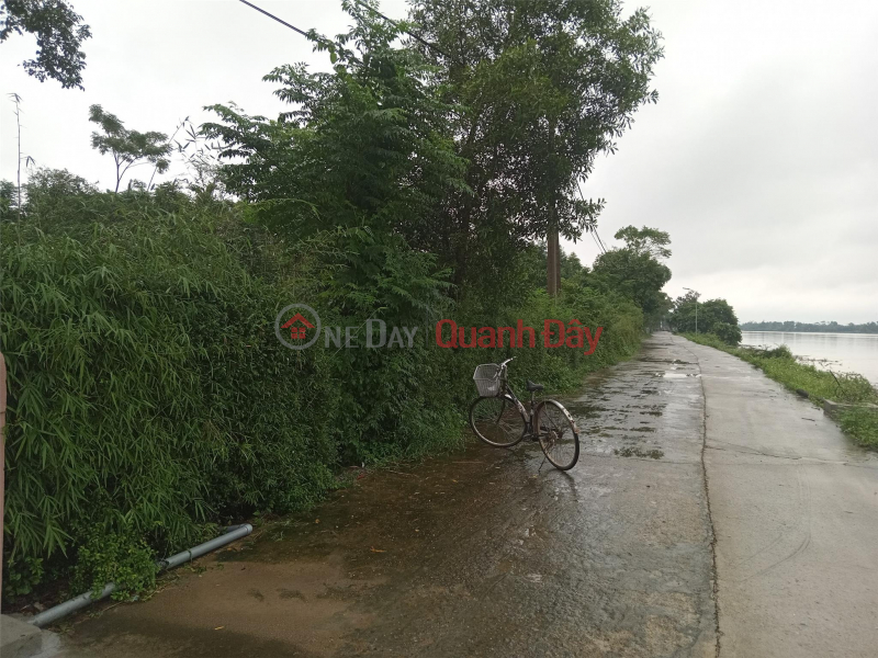 Property Search Vietnam | OneDay | Residential Sales Listings BEAUTIFUL LAND - GOOD PRICE - Villa Land for Sale in Hai Son Commune, Hai Lang District, Quang Tri