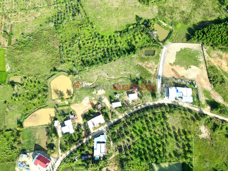 CHEAP RESIDENTIAL LOT FOR SALE IN KHANH PHU, KHANH VINH - ONLY 420 MILLION, ONE LOT LEFT!" | Vietnam, Sales | đ 420 Million