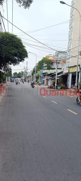 Property Search Vietnam | OneDay | Residential, Sales Listings | Too busy, reduced by 2.5 billion, quick sale - BINH TRI DONG FRONT - BINH TAN - Busy business - 160M2 - 13.2 BILLION