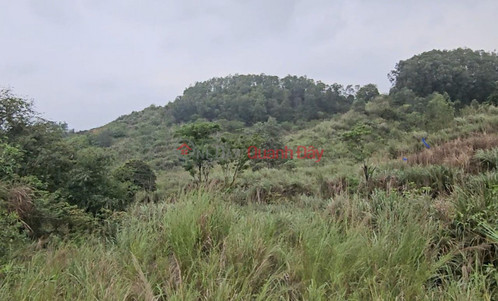 Property Search Vietnam | OneDay | Residential, Sales Listings BEAUTIFUL LAND AT GOOD PRICE - OWNERS NEED TO SELL HILLS QUICKLY LOT OF HILLS IN Bac Son Ward, Bim Son, Thanh Hoa