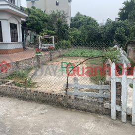 Cheap land for sale in Nam Hong Dong Anh, 17m road surface, price only 4X _0