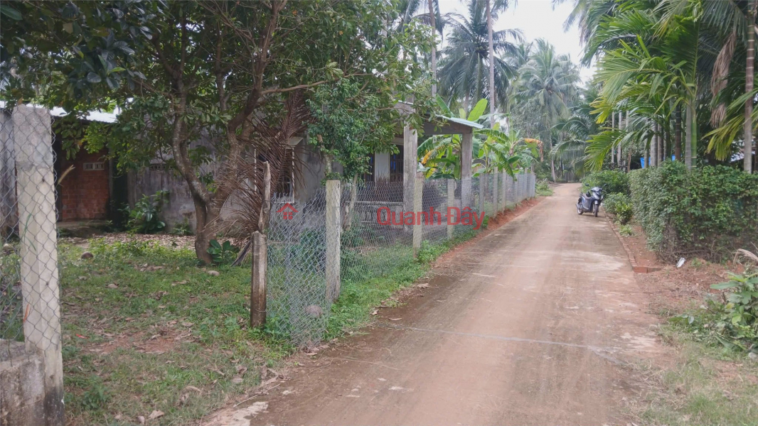 ĐẤT ĐẸP – GIÁ TỐT –CHÍNH CHỦ CẦN BÁN ĐẤT đường trần tôn thất, hoài xuân, thị xã hoài nhơn, bình định Niêm yết bán