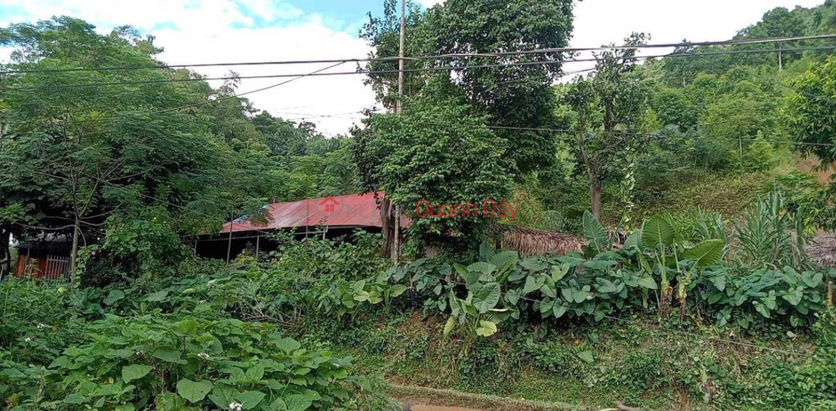 OWNER NEEDS TO SELL FAST Lot 32m Frontage Beautiful Location Da Bac District, Hoa Binh Sales Listings