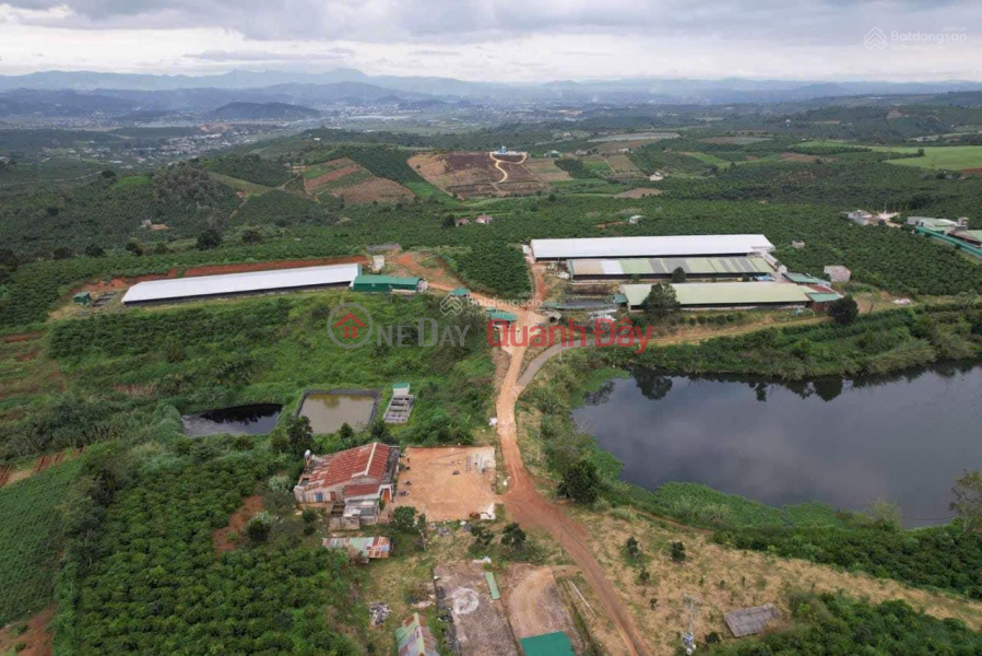 | Làm ơn chọn, Nhà ở Niêm yết bán | đ 65 tỷ