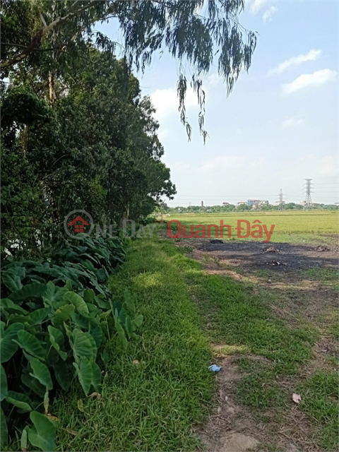 Selling 9.5ha of 50-year industrial land in Luong Tai, Van Lam District, Hung Yen Province _0