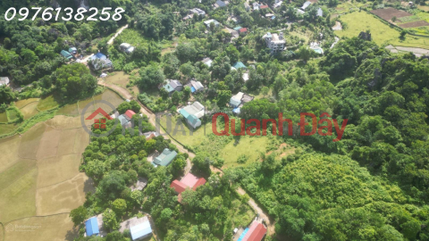 Land for sale, 2700m2, in Lien Son commune, price negotiable, 70m frontage. _0