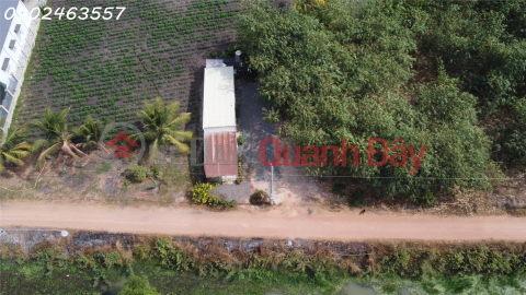 Golden Investment Opportunity - Super Beautiful Garden Land, low price _0
