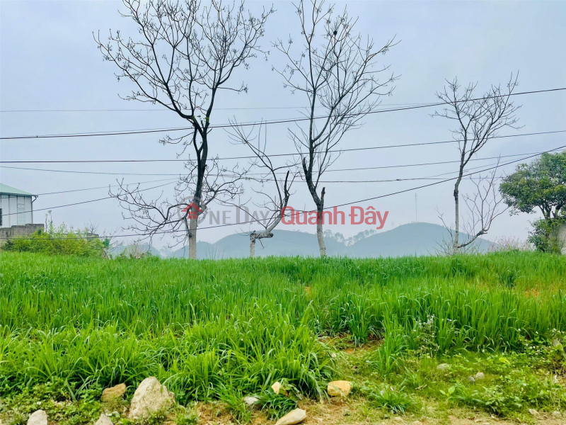 Cần bán gấp mảnh đất ở trung tâm Tân Lập Mộc Châu | Việt Nam, Bán, ₫ 111,11 triệu