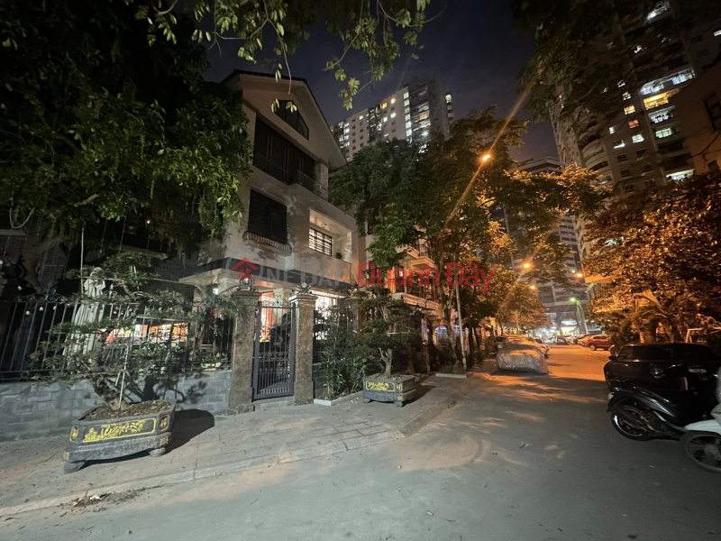 Property Search Vietnam | OneDay | Residential Sales Listings | Villa for sale C37 To Huu, 145-165m2, 4 floors, beautiful flower garden view
