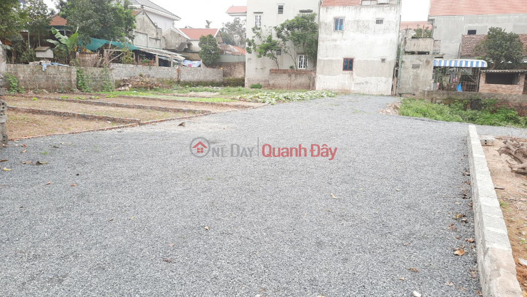 more than 500 million - 39m of land in Thuy Huong commune - Chuong My car road Sales Listings