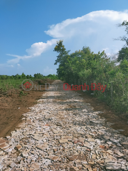 Property Search Vietnam | OneDay | Residential Sales Listings TUNE IN TO THE LAND AMENDMENT LAW TO SELL 10 TIMES OF LAND LOT IN GIA LAI AT SUPER CHEAP PRICE