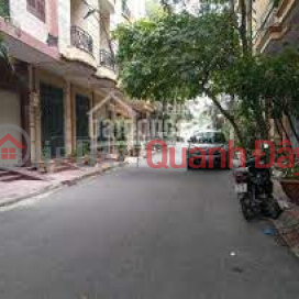 Hoang Quoc Viet subdivision house for sale, area 46m2, frontage 4.2m with flower garden _0