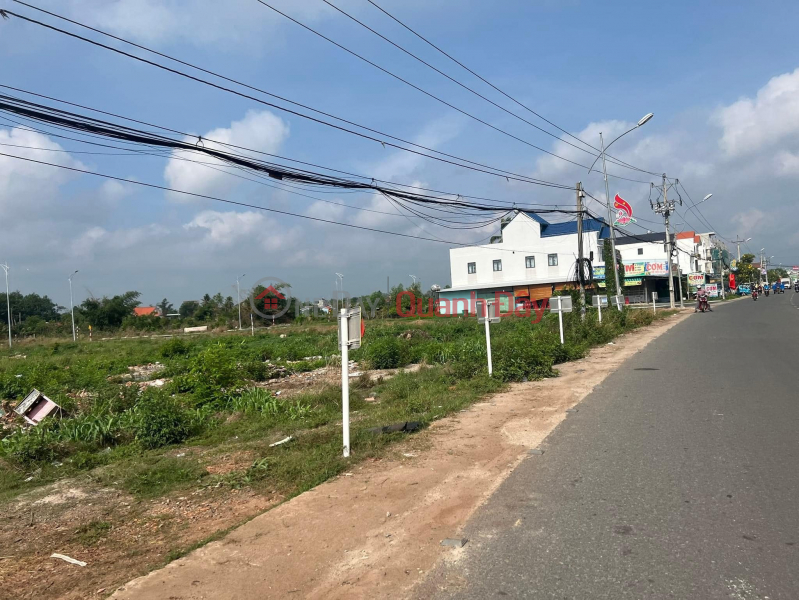 Recovering capital, the company quickly liquidated 2 plots of land on Hung Vuong Go Dau street for only 550 million SHR Sales Listings