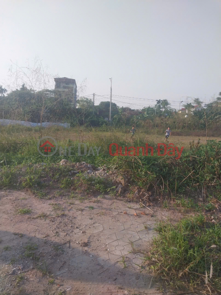 Selling 2 plots of land in Thanh Dat subdivision, Phu Ly, next to Bach Mai hospital, Ha Nam | Vietnam | Sales, đ 3.3 Billion