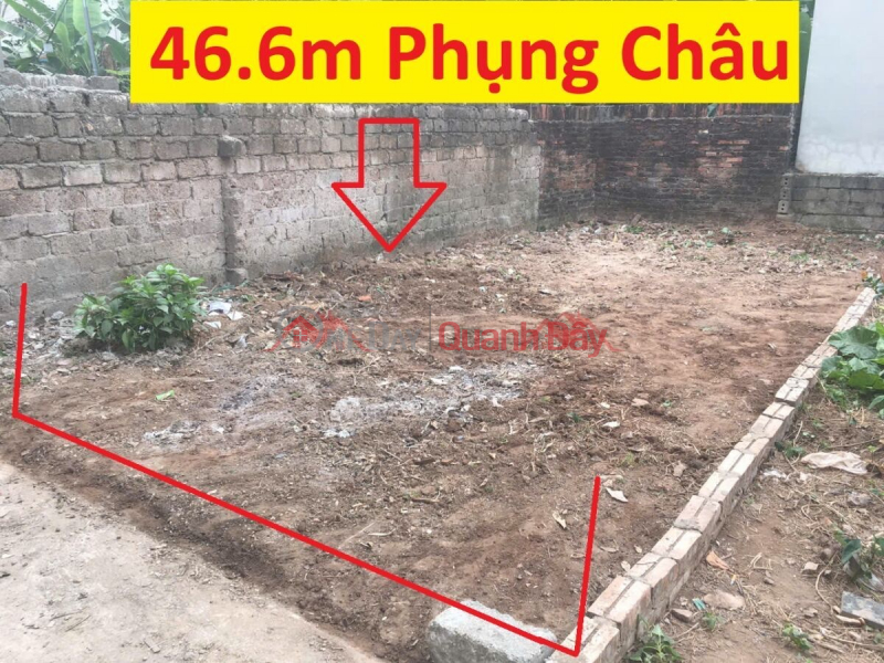 CHÍNH CHỦ CẦN BÁN LÔ ĐẤT 46,6M TẠI PHƯỢNG ĐỒNG-PHỤNG CHÂU-CHƯƠNG MỸ-HÀ NỘI Niêm yết bán