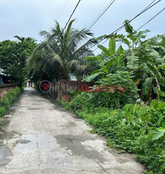 Land for sale in Duc Nhuan Da Trach, area 99.5m, frontage 5.56m, expanding back, investment price Sales Listings