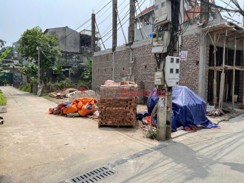 Property Search Vietnam | OneDay | Residential Sales Listings | Land for sale in Hai Boi Village, Hai Boi Commune, Dong Anh, Hanoi - Investment price 8x\\/m2