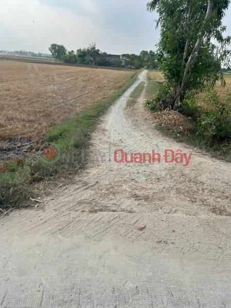 đ 600 triệu CƠ HỘI ĐẦU TƯ GIÁ TỐT - Chính Chủ Bán Gấp Lô Đất Trồng Lúa Xã Bình Thành, Đức Huệ, Long An