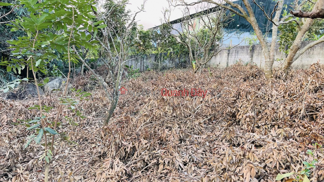 Bán lô đất 645m2 ( rộng 15, sâu 43m)Thuộc Tiểu Khu Bó Pun – Mộc Châu – Sơn La. Niêm yết bán